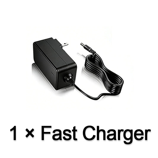 1 × Fast Charger