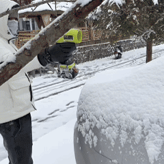 SEESE MAX™ –Cordless Leaf BlowerPower Through Dirt, Dust & Leaves Instantly